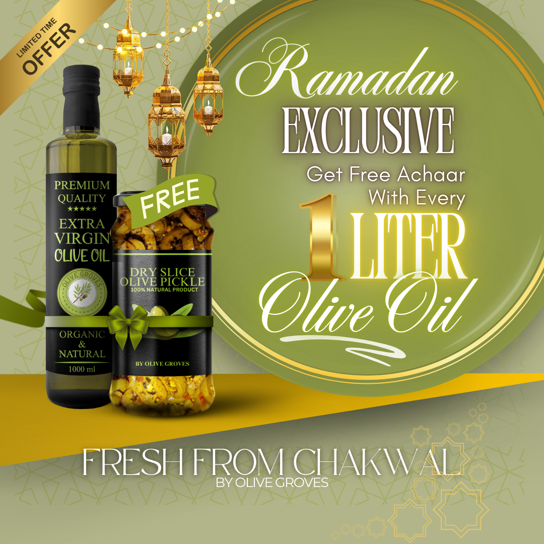 Olive Oil With Free Dry Sliced Olive Pickle (Plastic Bottle)